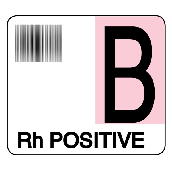 Label, B Rh Positive 1-1/2" x 1-7/10" White w/Pink & Black